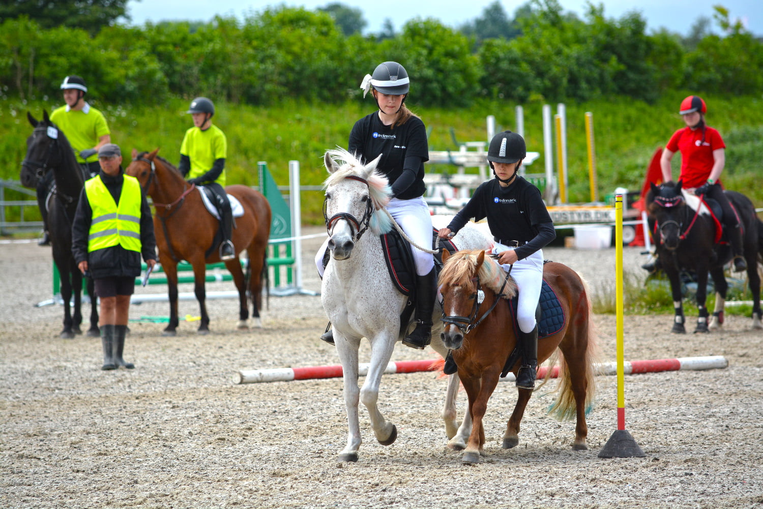 Landsdelsfinaler