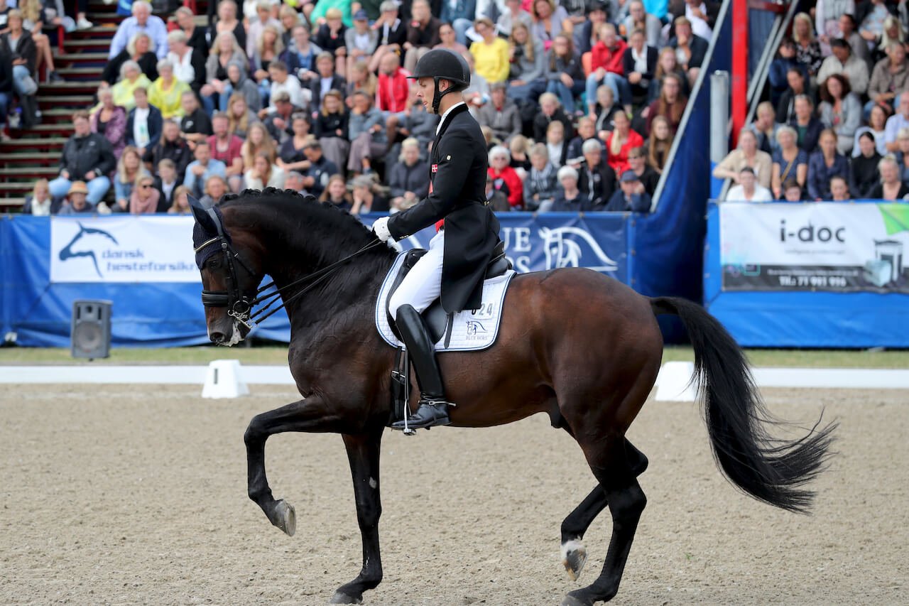 Daniel Bachmann Andersen og Blue Hors Zack
