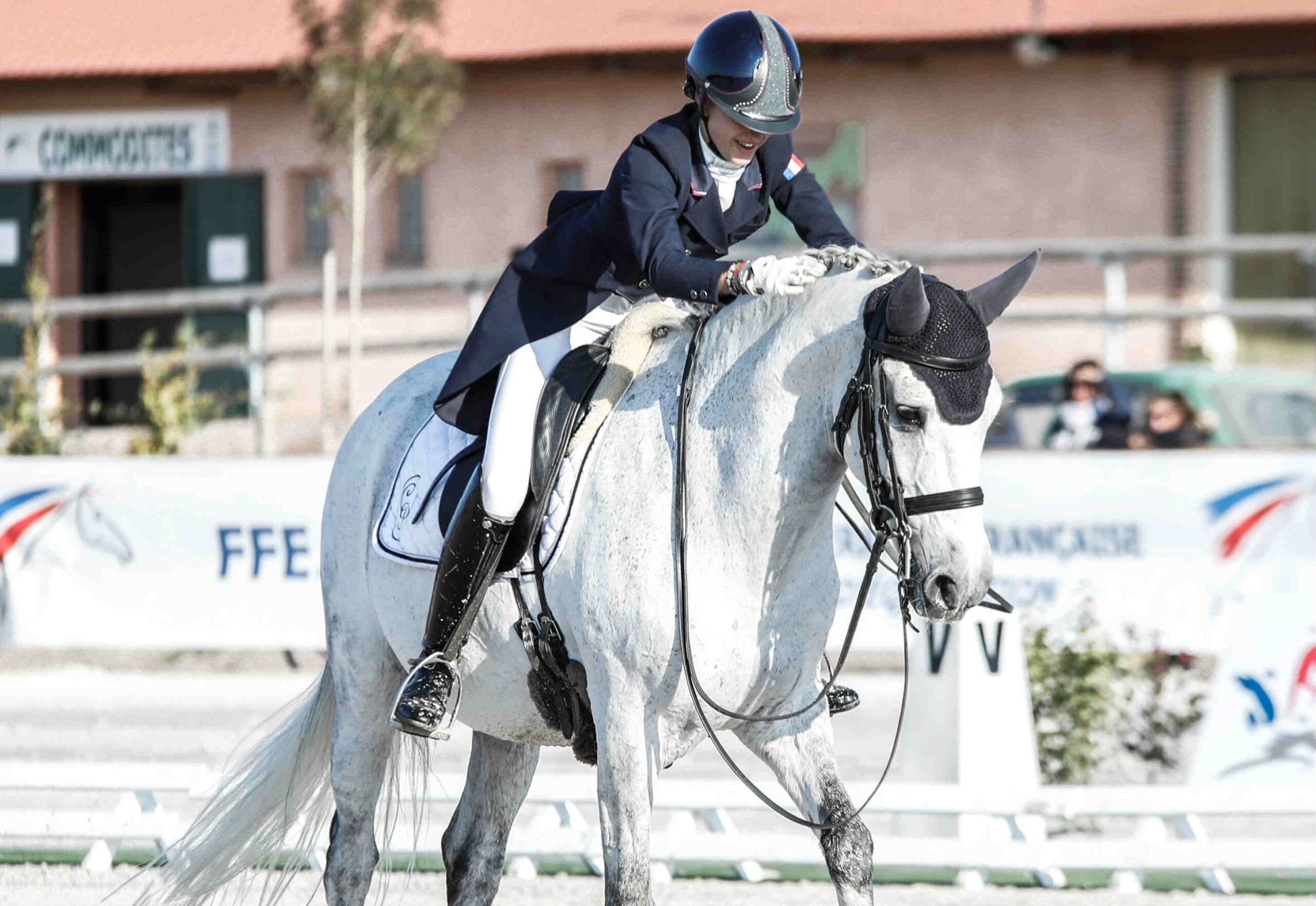 Hest til dressurstævne