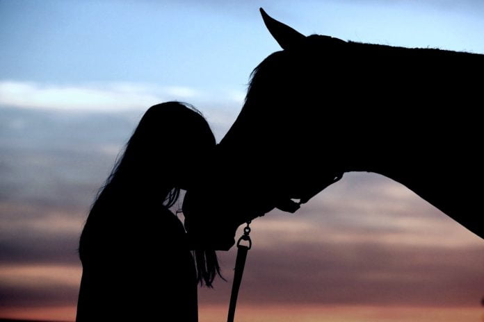hest og rytter i solnedgang