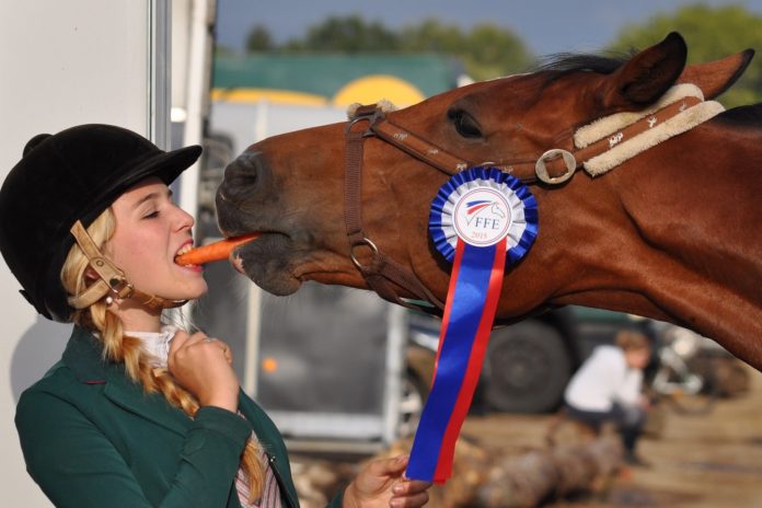 Pige giver sin hest en gulerod med munden,