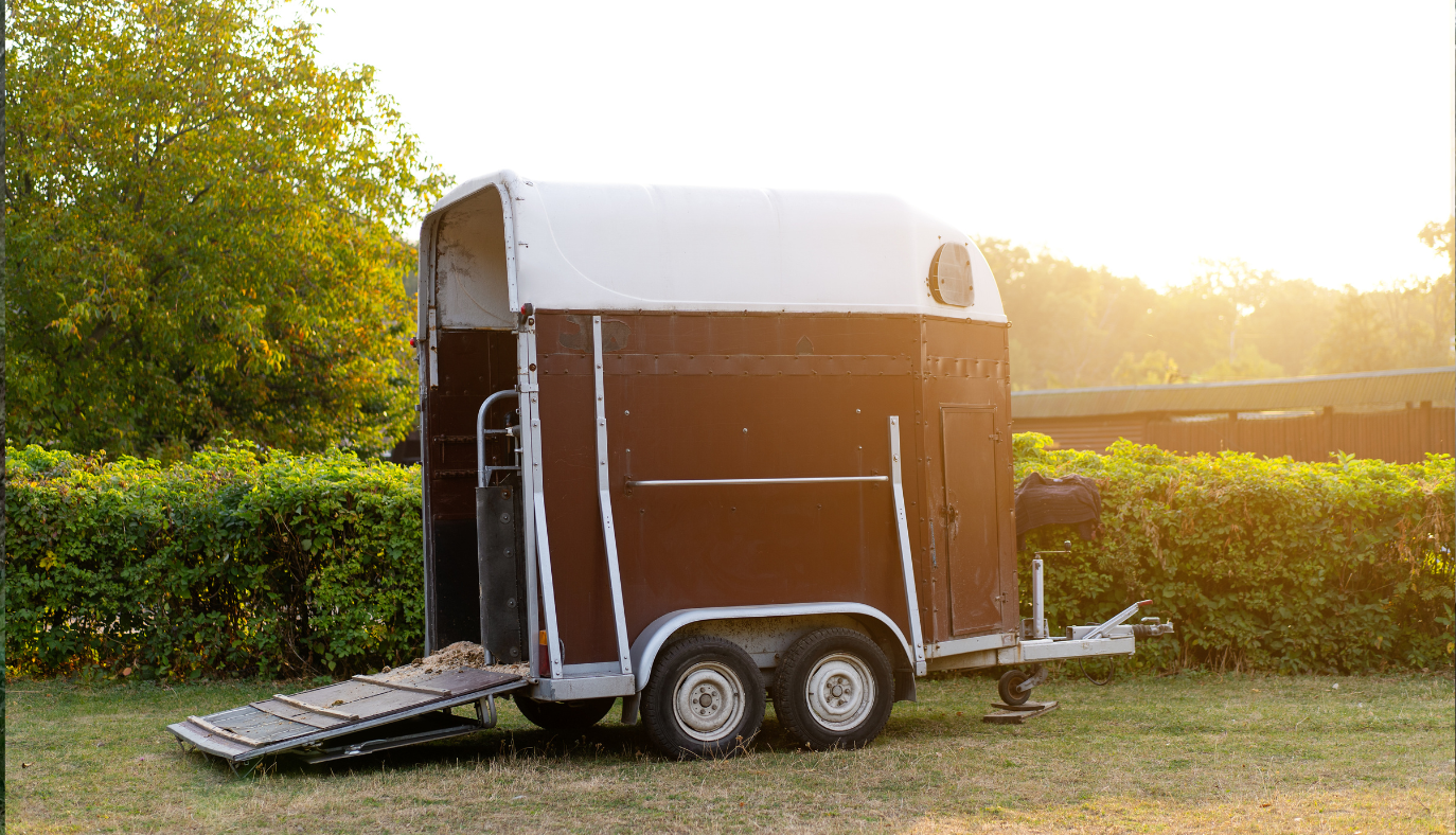 Sommerklar hestetrailer