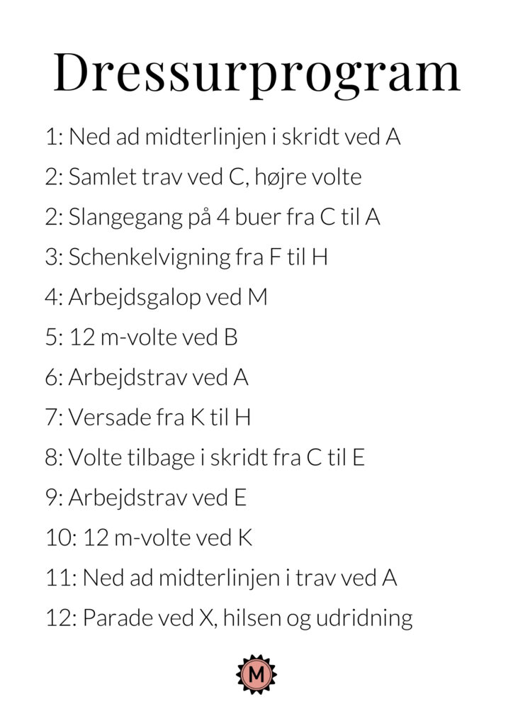 Lav dit eget dressurprogram udfyldt version