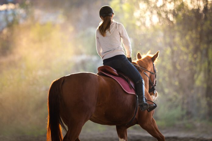 Hest rides på ridebane