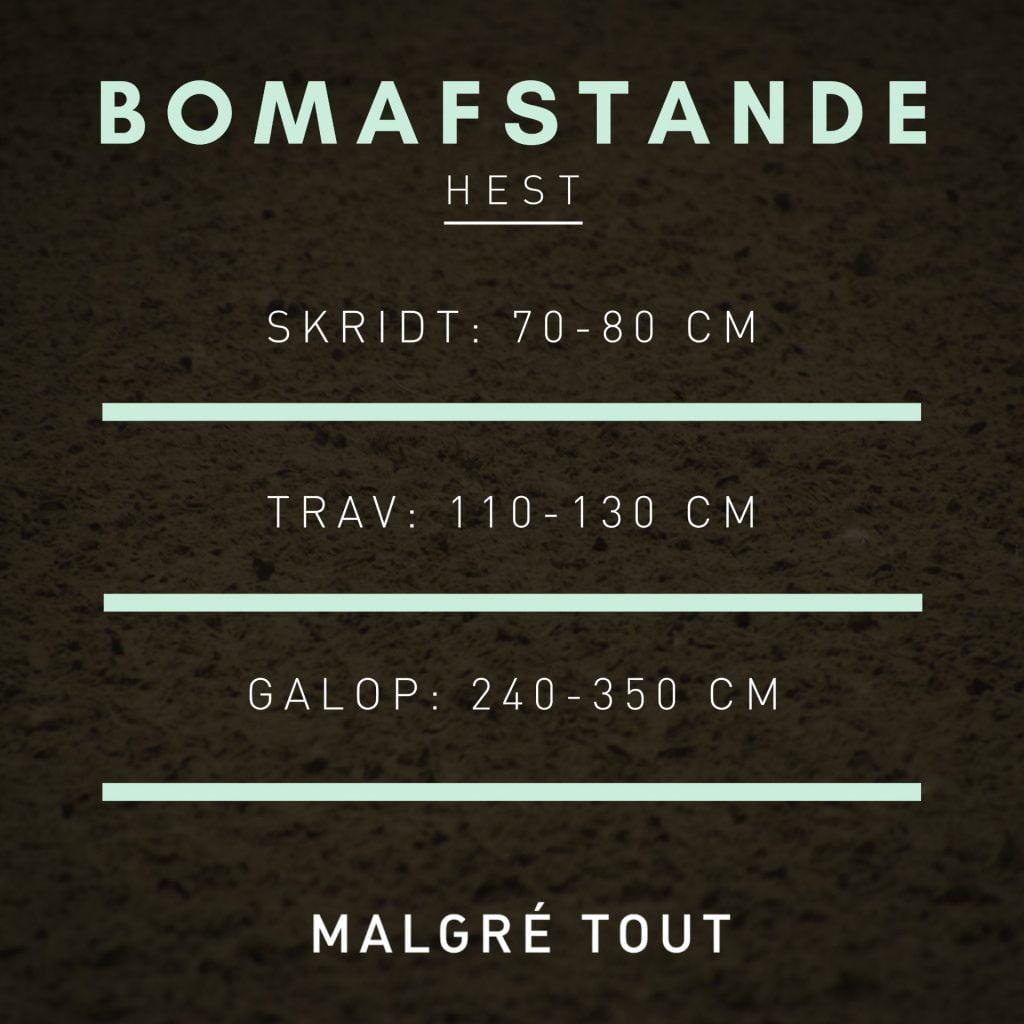 Hesteafstand
