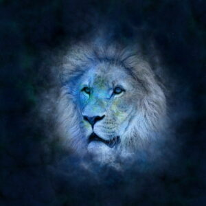 Hvordan ser din og din hests horoskop for sommeren ud?