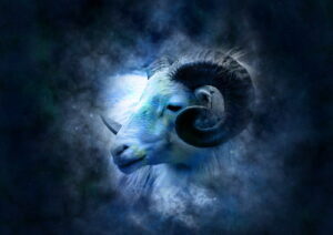 Hvordan ser din og din hests horoskop for sommeren ud?