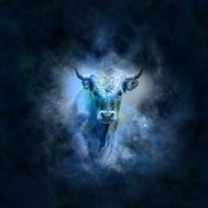 Hvordan ser din og din hests horoskop for sommeren ud?