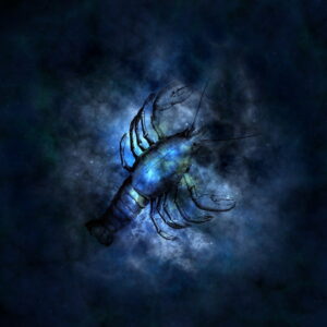 Hvordan ser din og din hests horoskop for sommeren ud?
