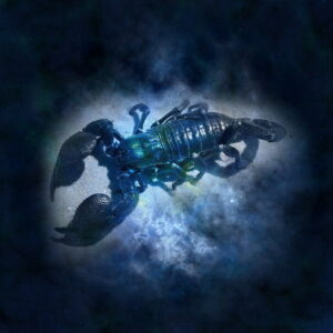 Hvordan ser din og din hests horoskop for sommeren ud?