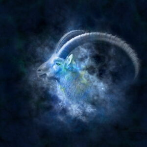 Hvordan ser din og din hests horoskop for sommeren ud?