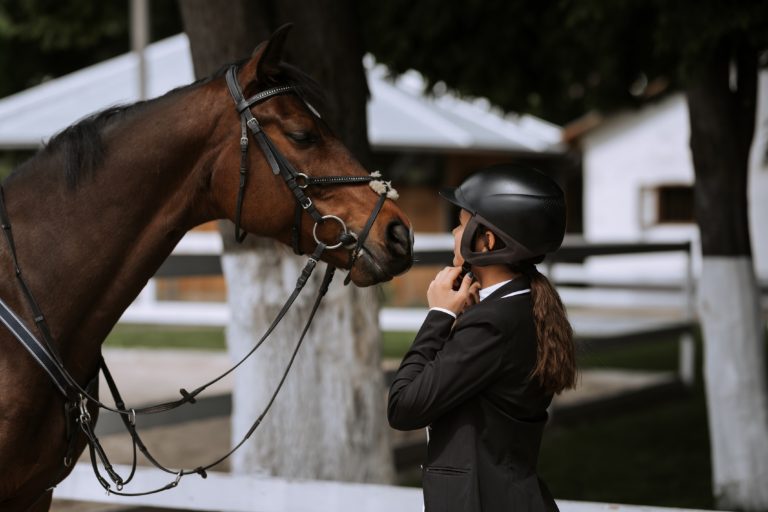 10 ting der irriterer hestefolk grænseløst