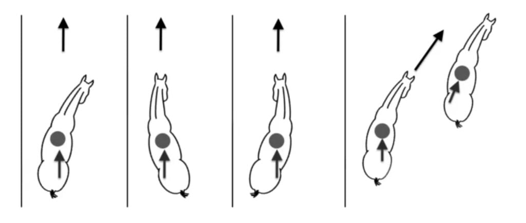 Illustration af versade