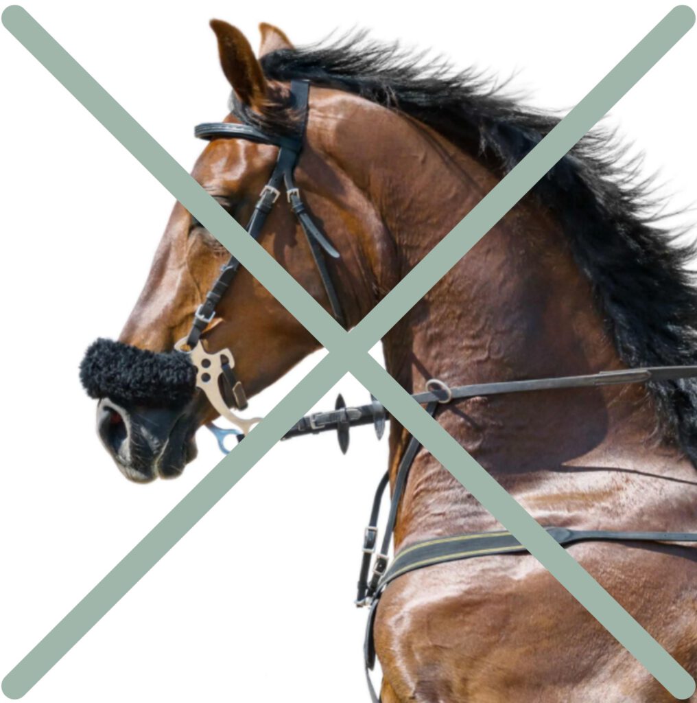 Hackamore sidder forkert