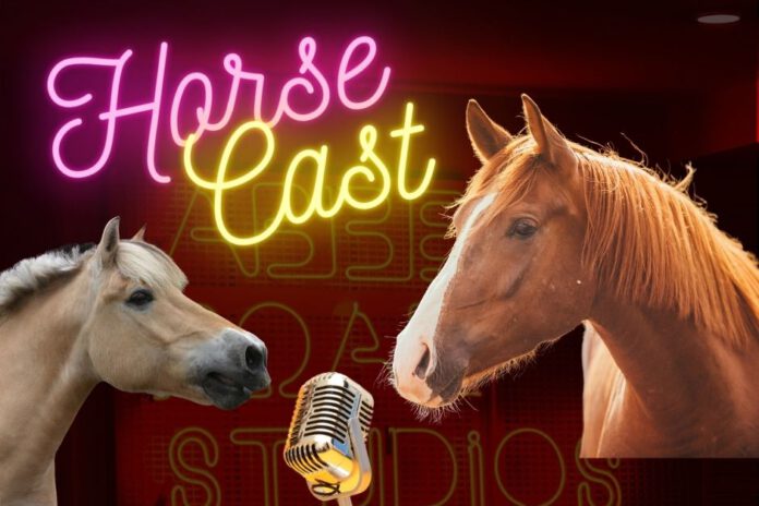 De bedste podcast til heste folket