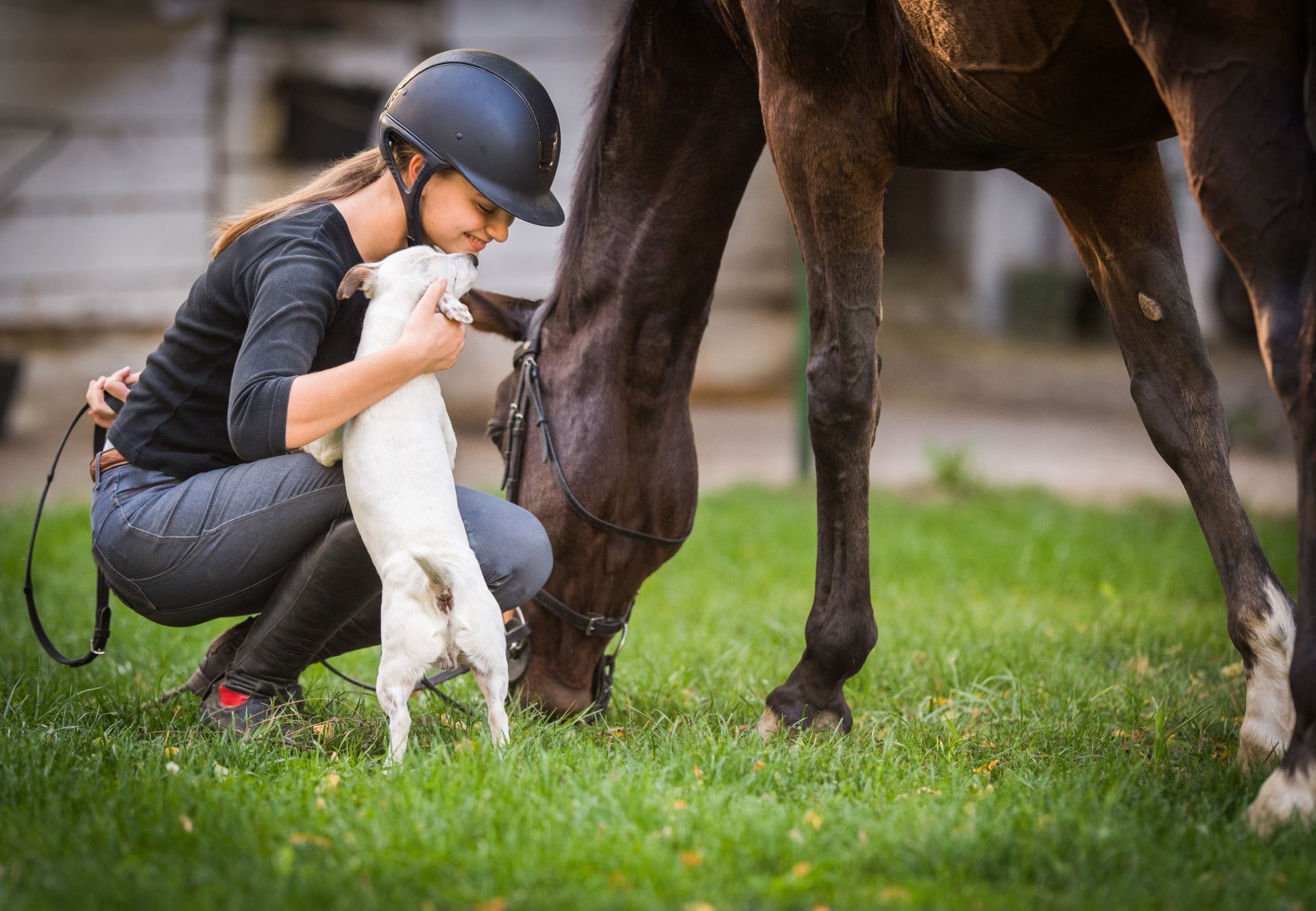 Praktisk rapport mistet hjerte 5 beviser på, at hestemennesker er de største dyreelskere