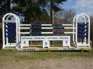 Forhindringsklubben spring