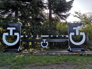 Forhindringsklubben spring