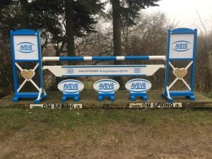 Forhindringsklubben spring