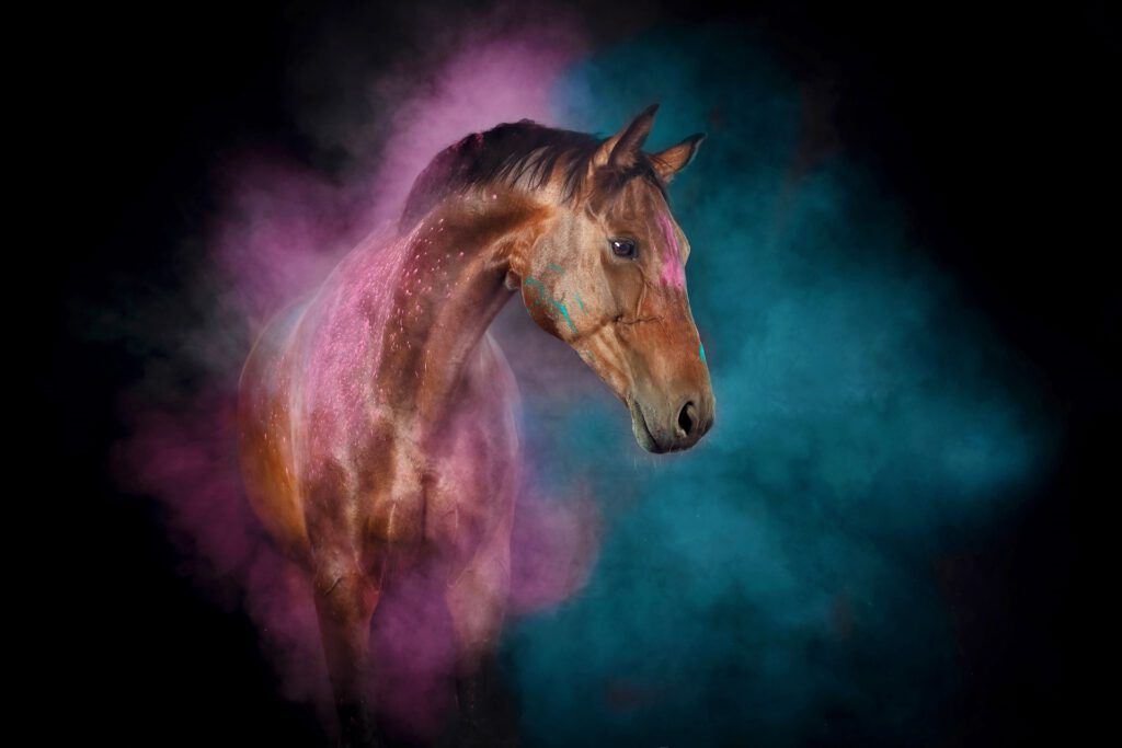 Hest med lilla og blå holi-pulver