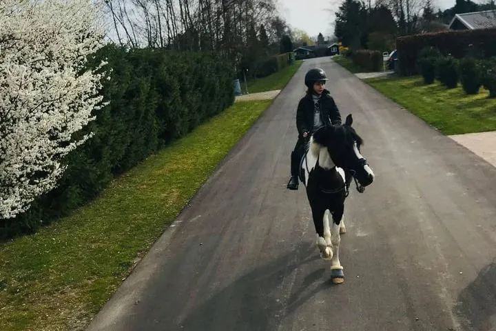 Særligt når det gælder børn til hest i trafikken er mange overbevist om, at der bør være tale om en blød trafikant fremfor en hård. Det er Malgré Touts erfaring på baggrund af at have fulgt debatten. Foto: Malgré Tout.