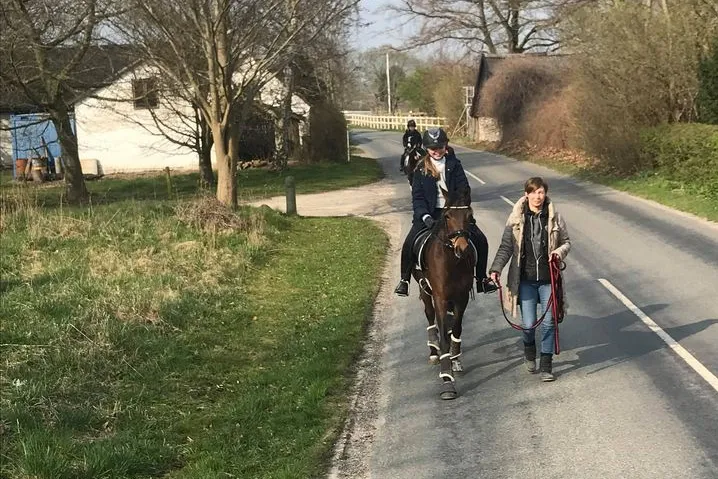 Som loven er nu, gælder et menneske, der trækker med en hest, også som en hård trafikant. Foto: Malgré Tout.