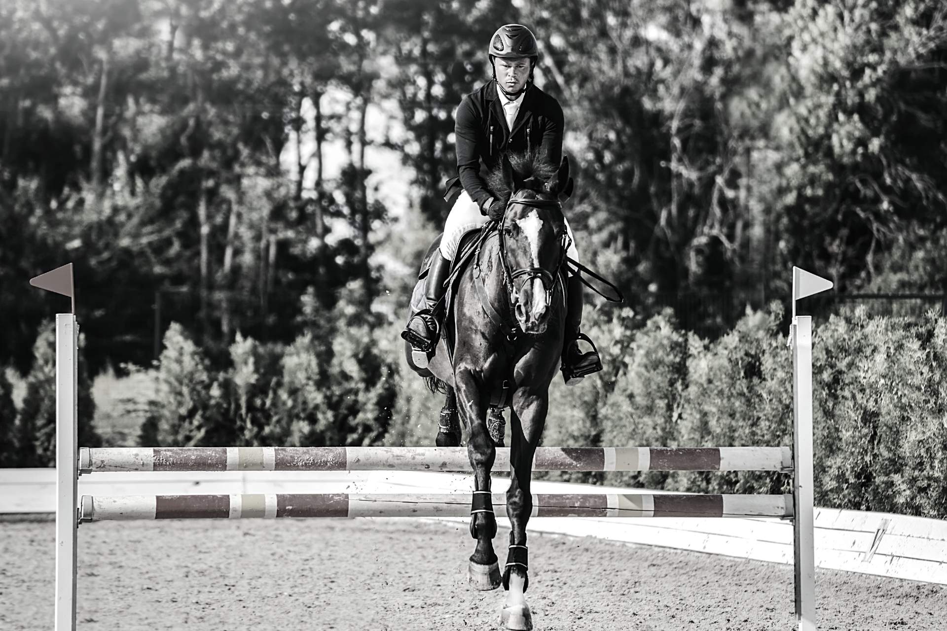 herre_springrytter_rider_udendørs
