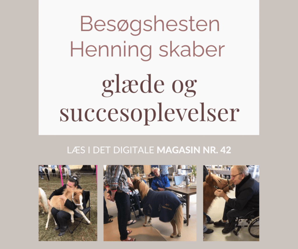 Digitalt magasin 42 Besøgshesten Henning