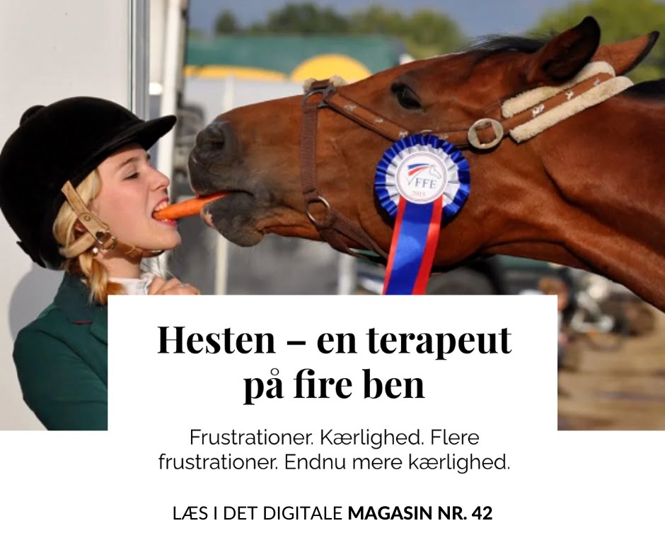 Digitalt magasin 42 - hesten, en terapeut på fire ben