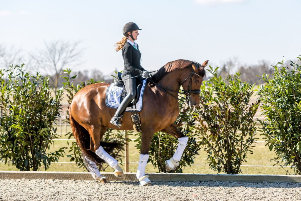 Dressurrytter Sanne Svendsen og hesten Hannah rider dressur. 