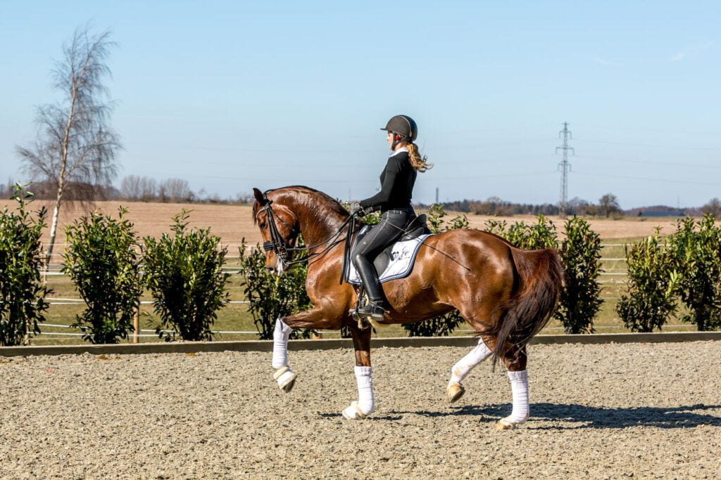 Dressurrytter Sanne Svendsen og hesten Hannah rider dressur, på en ridebane. 