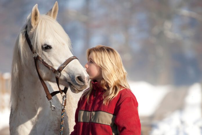 hest og ejeri sneen