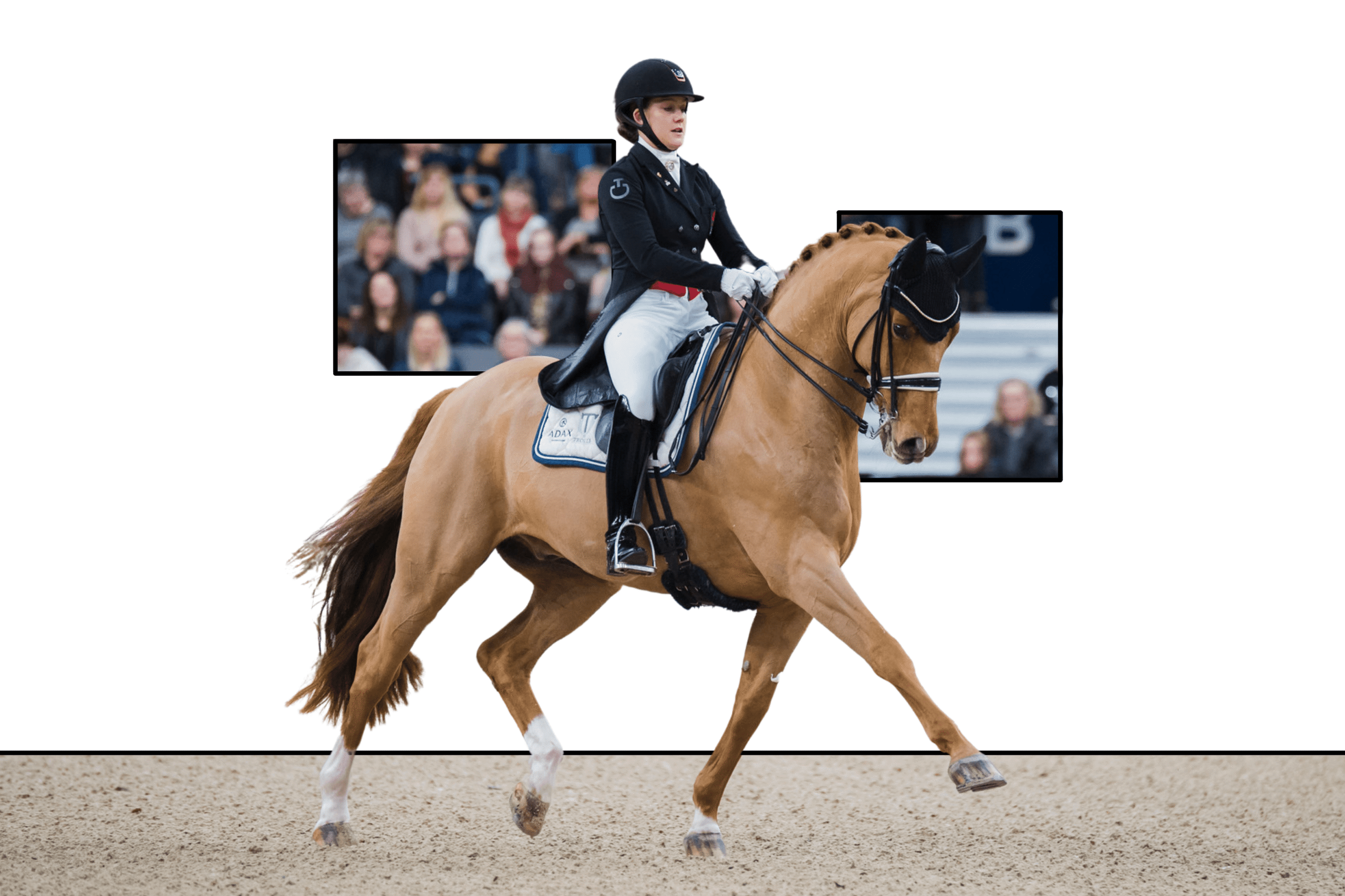 Cathrine Dufour og Cassidy har vundet dm mange gange