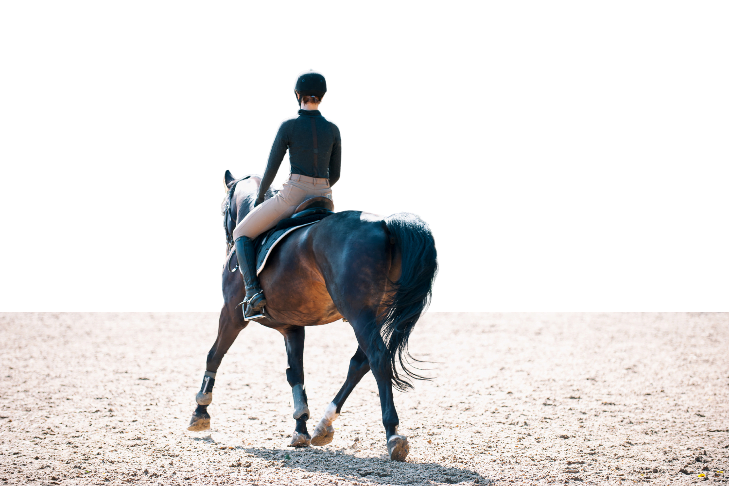 Rytter rider dressur