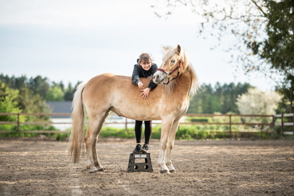 Hest lærer tricks på ridebane
