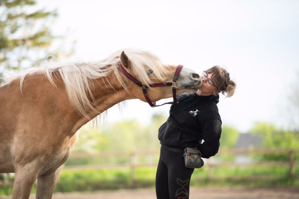 Hest lærer tricks på ridebane