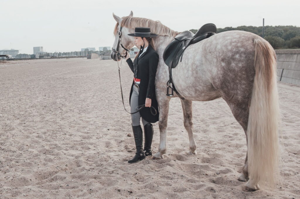 Hest og rytter på strand