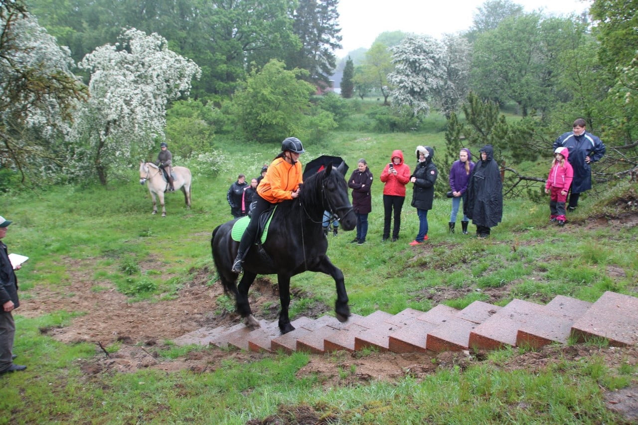TREC stævne