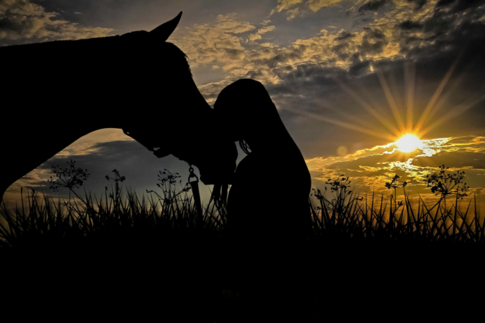 Pige står med hest i solnedgangen