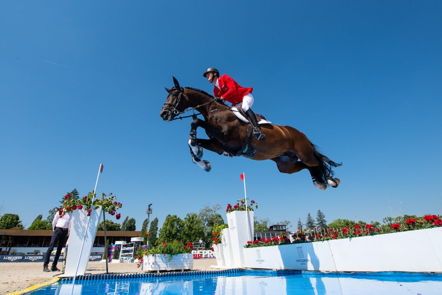 Hest springer vandgrav