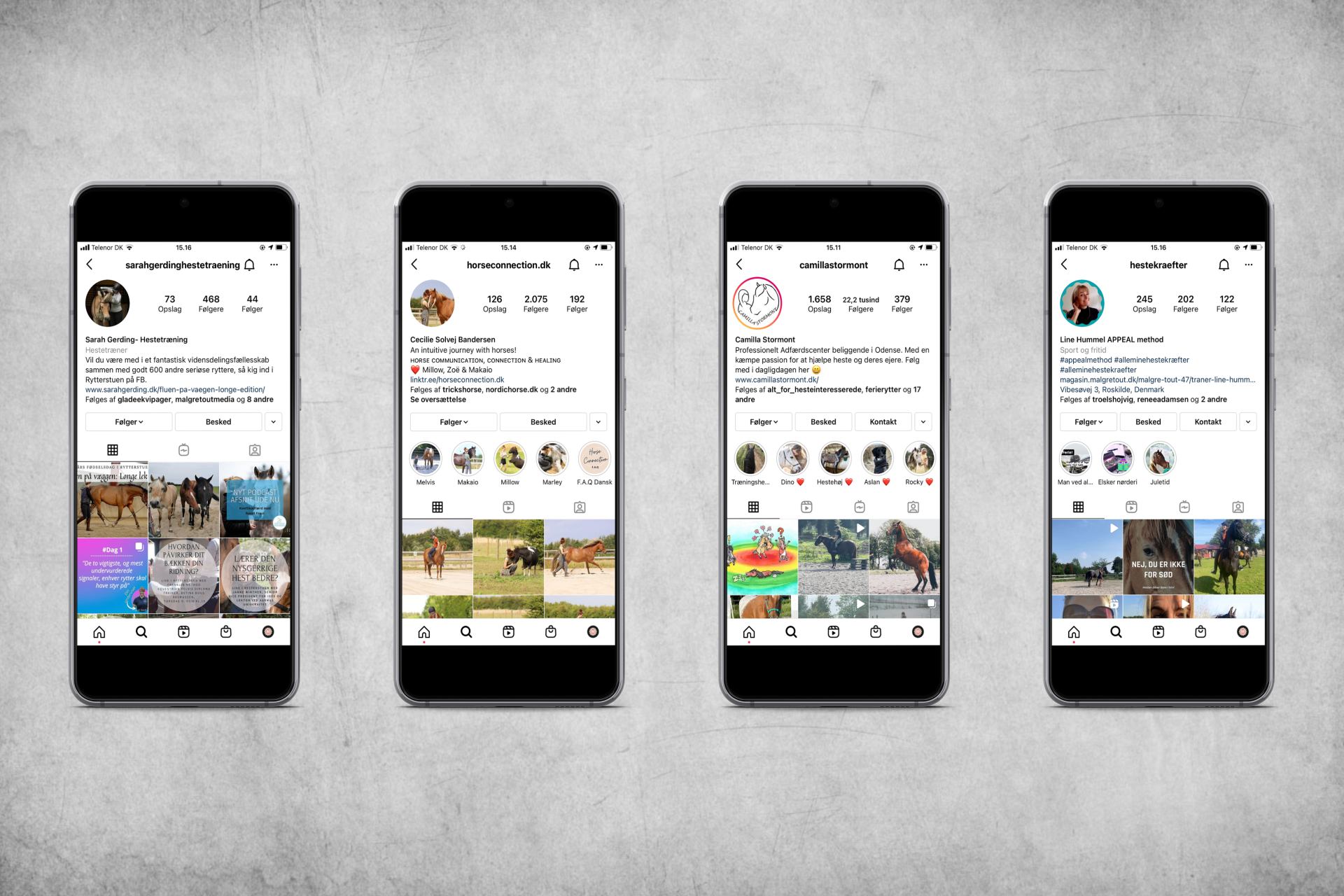 Instagrammere med holistisk syn på heste