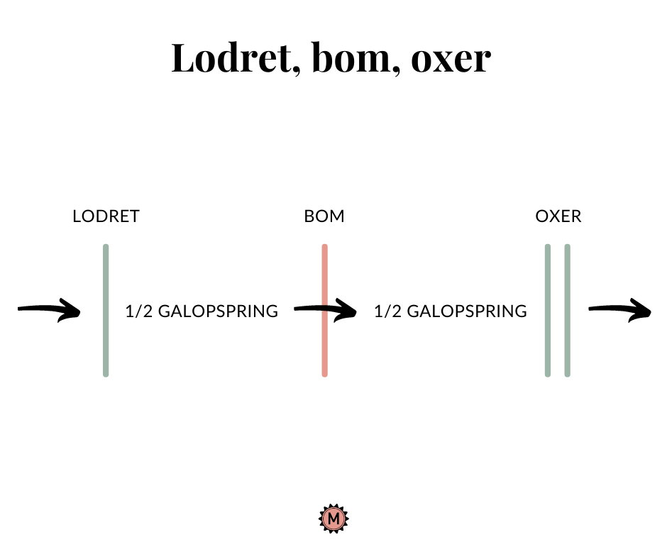 Spring_øvelse_Lodret_bom_oxer_amelie_gotfredsen