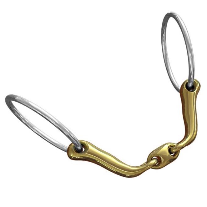 Neue Schule Verbindend bid