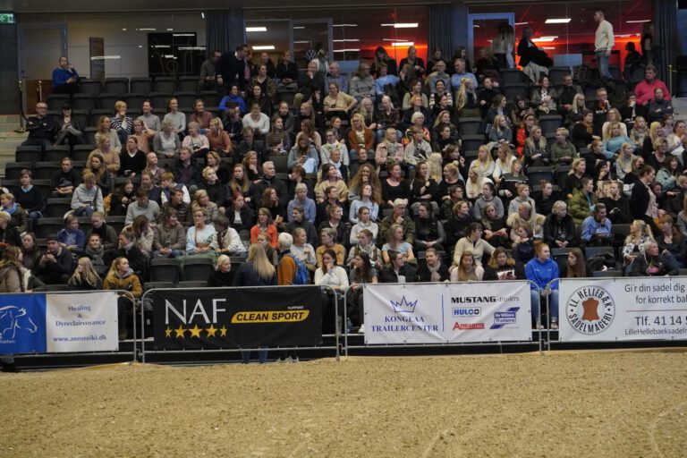 Rekord: Stigende antal besøgende til Hillerød Horse Show 2021