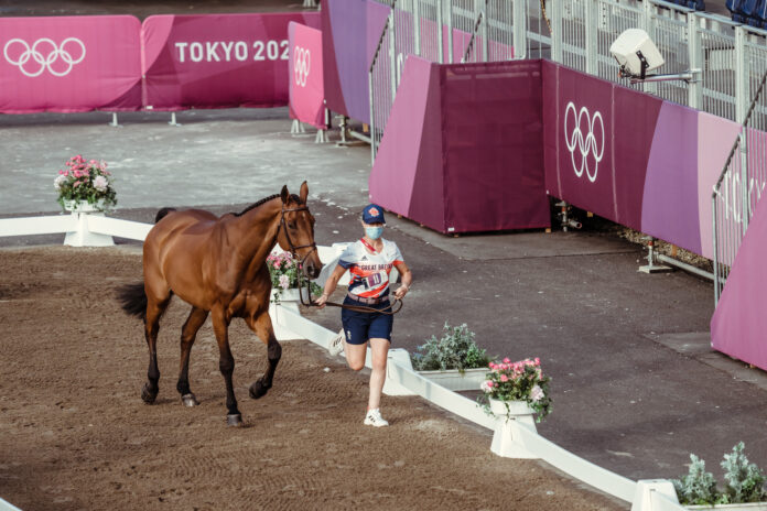 Hest til OL på opvarmningsbane