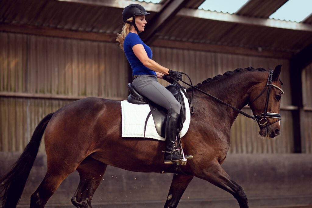 Ridehus træning på bund