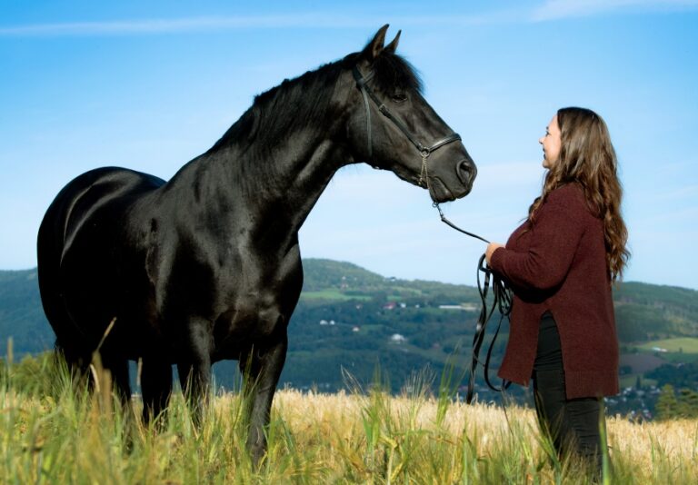 Hesteterapeut Line Østerhagen: ”Kvalitetsbehandling af heste er en nødvendighed”