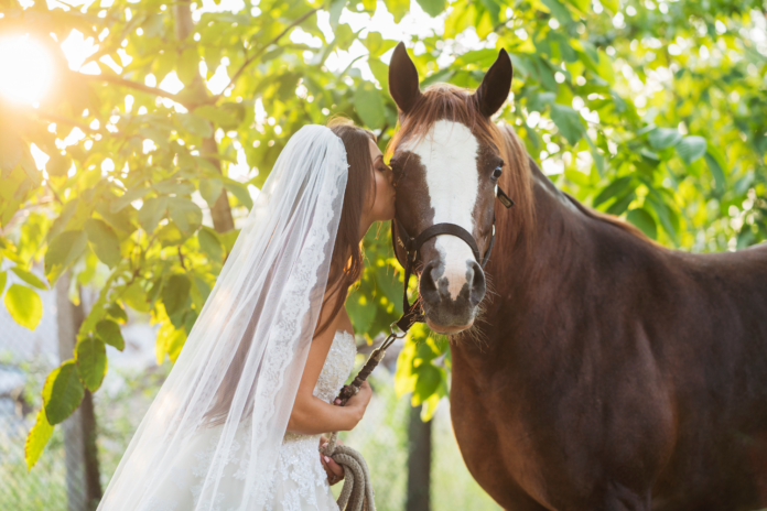 Brud med hest til sit bryllup