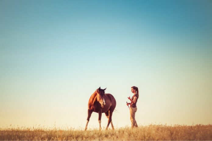 hest og kvinde på mark