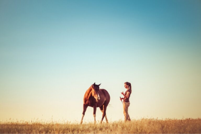 Skift tilstand og bliv bedre til at kommunikere med din hest